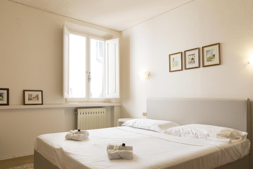 Mario'S Apartament With Ac And Wifi Apartment Lucca Exterior photo